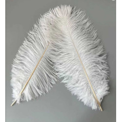 PIÓRKA DEKORACYJNE BIAŁE...